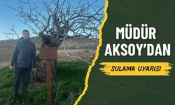 Şanlıurfa'da Kış Aylarında Fıstık Ağaçları İçin Sulama Uyarısı