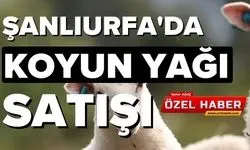 Şanlıurfa'da Koyun Yağı Satışı