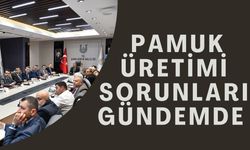 Şanlıurfa'da Pamuk Üretimi İçin Kritik Toplantı