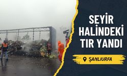 Şanlıurfa’da Seyir Halindeki Tır Yandı