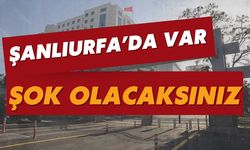 Şanlıurfa’da Var: Ele Geçirilenleri Duyunca Şok Olacaksınız