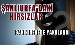 Şanlıurfa'daki Pırlanta Hırsızları Bakın Nerede Yakalandı