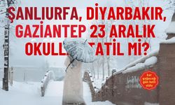 23 Aralık 2024 pazartesi Şanlıurfa, Diyarbakır ve Gaziantep'te okullar ne tatil mi?