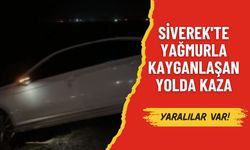 Siverek'te Yağmurla Kayganlaşan Yolda Kaza: 2 Yaralı