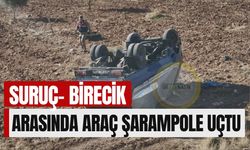 Suruç- Birecik Arasında Araç Şarampole Uçtu