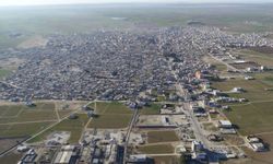 Bir Kadın, Bir At ve Bir Dönem: Suruç'tan Nostaljik Bir Kare