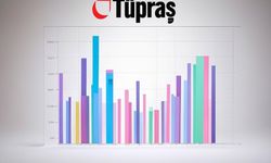 Tüpraş yatırımcıları için büyük fırsat: 249 TL hedef hisse fiyatı açıklandı