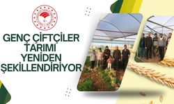 Şanlıurfa'da Genç Çiftçiler Tarımı Yeniden Şekillendiriyor