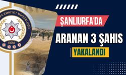 Şanlıurfa'da Aranan 3 Şahıs Yakalandı