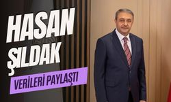 Vali Hasan Şıldak Verileri Paylaştı: Çok Sayıda Kişi Tutuklandı