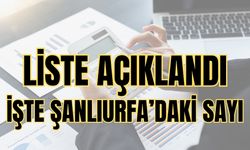 Vergisini Ödemeyenlerin Listesi Açıklandı: İşte Şanlıurfa’daki Sayı