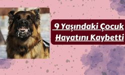 Kuduz Vakası: 9 Yaşındaki Çocuk Hayatını Kaybetti