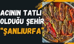 Acının Tatlı Olduğu Şehir "Şanlıurfa"