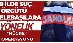 Şanlıurfa'da Dahil 9 İlde Suç Örgütü Elebaşlarına  Yönelik “Hücre” Operasyonu