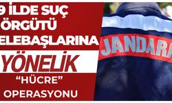 Şanlıurfa'da Dahil 9 İlde Suç Örgütü Elebaşlarına  Yönelik “Hücre” Operasyonu