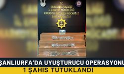 Şanlıurfa’da Narkotik Operasyonu! 1 Tutuklama