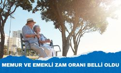 2025 Yılında Memur ve Emekli Zam Oranı  Belli Oldu