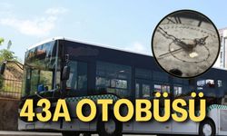 43A Otobüsü