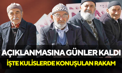 Açıklanmasına Günler Kaldı: İşte En Düşük Emekli Maaşı İçin Kulislerde Konuşulan Rakam!