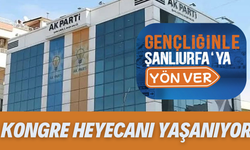 AK Parti  Şanlıurfa İl Gençlik Kollarında Kongre Heyecanı