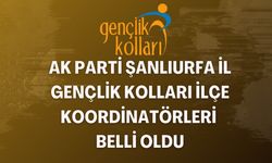 AK Parti Şanlıurfa İl Gençlik Kolları İlçe Koordinatörleri Belli Oldu