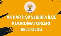 AK Parti Şanlıurfa'da İlçe Koordinatörleri Atandı