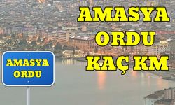 Amasya Ordu Arası Kaç Km