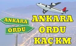 Ankara Ordu Arası Kaç Km