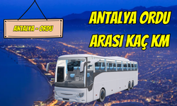 Antalya Ordu Arası Kaç Km