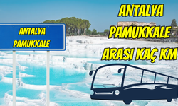 Antalya Pamukkale Arası Kaç Km