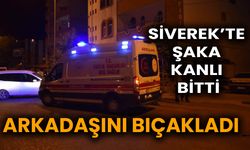 Siverek’te Şaka Kanlı Bitti: Arkadaşını Bıçakladı