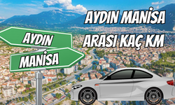 Aydın Manisa Arası Kaç Km