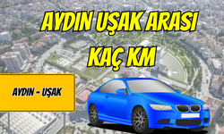 Aydın Uşak Arası Kaç Km