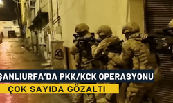 Şanlıurfa’da PKK/KCK Operasyonu! Çok Sayıda Gözaltı