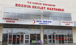 Bozova’da Otomobil Tarlaya Uçtu
