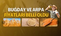 Buğday ve Arpa Fiyatları Belli Oldu: İşte Yeni Rakamlar!