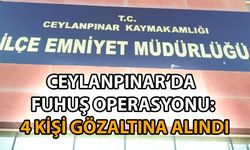 Ceylanpınar Asayiş Büro Amirliği’nden Operasyon: 4 Kişi Yakalandı