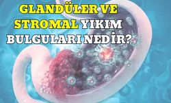 Glandüler Ve Stromal Yıkım Bulguları Nedir?