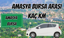 Amasya Bursa Arası Kaç Km