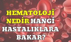 Hematoloji Nedir Hangi Hastalıklara Bakar?