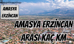 Amasya Erzincan Arası Kaç Km