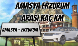 Amasya Erzurum Arası Kaç Km