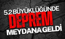 5.2 Büyüklüğünde Deprem Meydana Geldi: AFAD Son Durumu Açıkladı