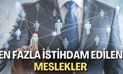 En Fazla İstihdam Edilen Meslekler