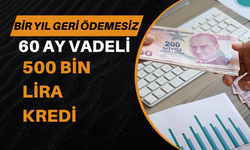 Esnafa Müjde: Bir Yıl Geri Ödemesiz 60 Ay Vadeli 500 Bin Lira Kredi