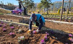 Eyyübiye Belediyesi Üretiyor Parklar Güzelleşiyor