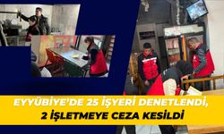 Eyyübiye’de 25 İşyeri Denetlendi, 2 İşletmeye Ceza Kesildi