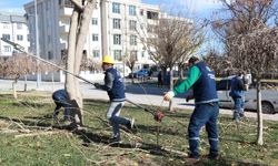 Haliliye’de 203 Park Ve Sokaklarda Hummalı Peyzaj Çalışmaları