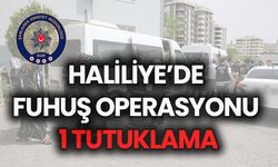 Şanlıurfa Haliliye’de Eş Zamanlı Operasyonda 1 Tutuklama