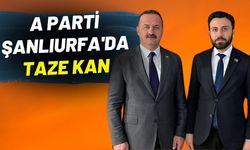 A Parti Şanlıurfa'da Taze Kan